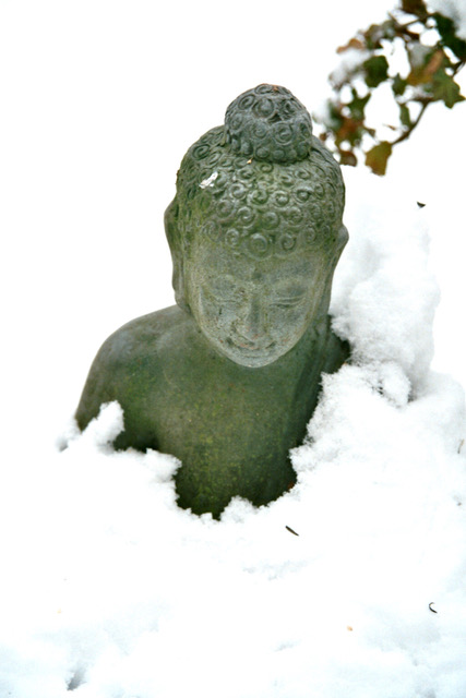 Zen.nl, Zen, meditatie, leren mediteren, foto